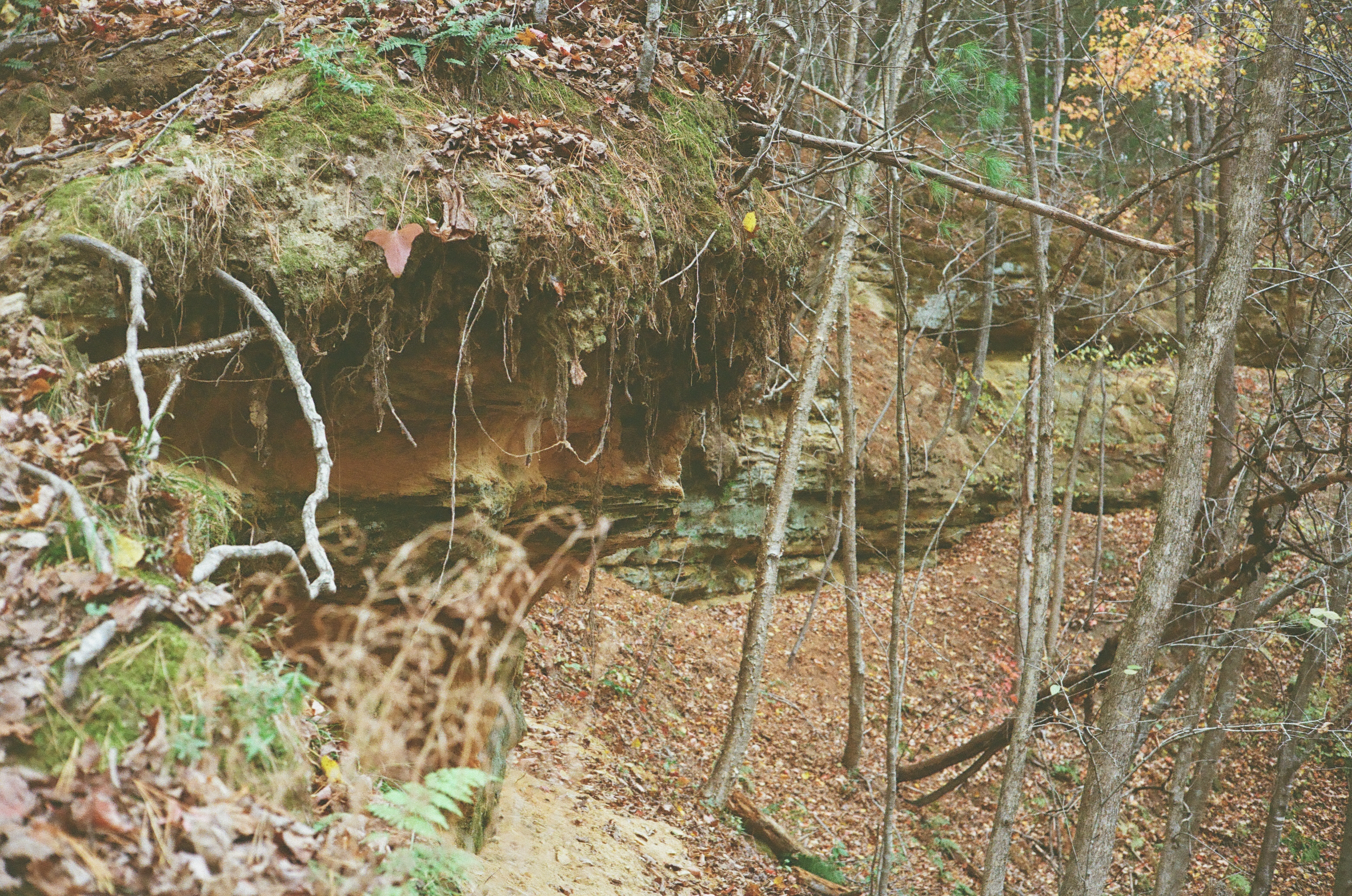 Keil Birch Creek Preserve, Menomonie WI - Limestone Formation